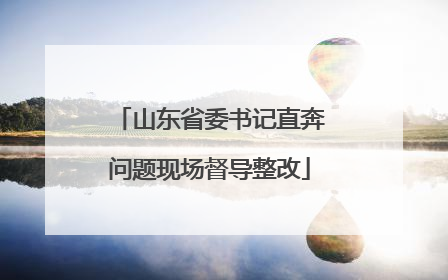 山东省委书记直奔问题现场督导整改