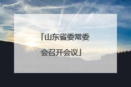 山东省委常委会召开会议