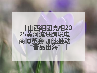 山西组团亮相2025黄河流域跨境电商博览会 加速推动“晋品出海”