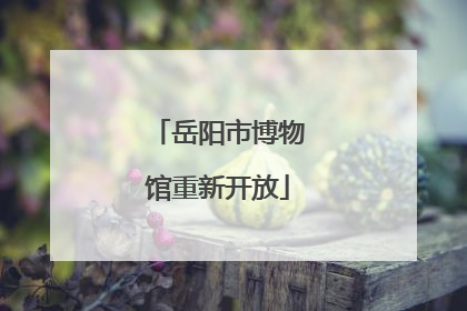 岳阳市博物馆重新开放