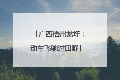 广西梧州龙圩：动车飞驰过田野