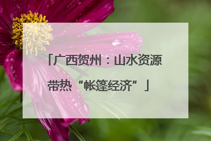 广西贺州：山水资源带热“帐篷经济”