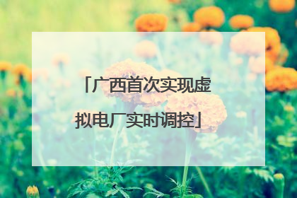 广西首次实现虚拟电厂实时调控