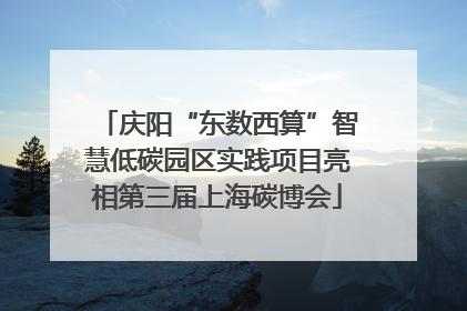 庆阳“东数西算”智慧低碳园区实践项目亮相第三届上海碳博会