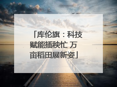库伦旗：科技赋能插秧忙 万亩稻田展新姿
