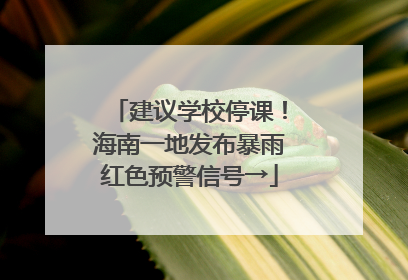 建议学校停课！海南一地发布暴雨红色预警信号→