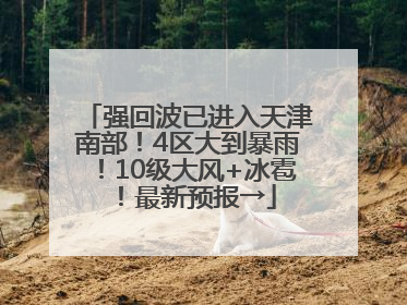 强回波已进入天津南部！4区大到暴雨！10级大风+冰雹！最新预报→