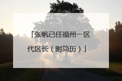 张帆已任福州一区代区长（附简历）