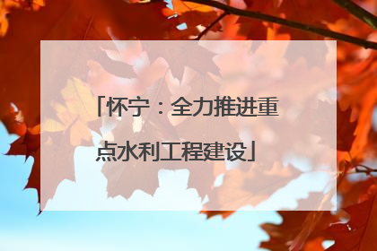 怀宁：全力推进重点水利工程建设