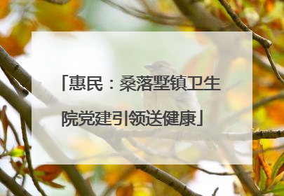 惠民：桑落墅镇卫生院党建引领送健康