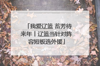 我爱辽篮 蓄芳待来年丨辽篮当针对阵容短板选外援