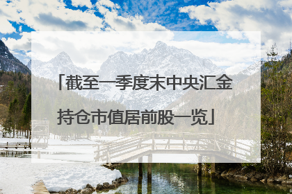 截至一季度末中央汇金持仓市值居前股一览
