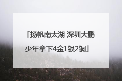 扬帆南太湖 深圳大鹏少年拿下4金1银2铜
