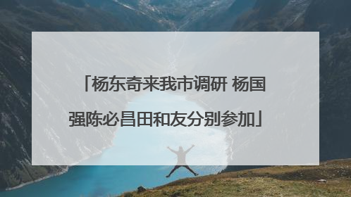 杨东奇来我市调研 杨国强陈必昌田和友分别参加