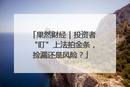 果然财经｜投资者“盯”上法拍金条，捡漏还是风险？