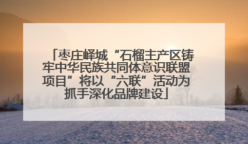 枣庄峄城“石榴主产区铸牢中华民族共同体意识联盟项目”将以“六联”活动为抓手深化品牌建设