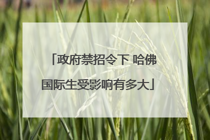 政府禁招令下 哈佛国际生受影响有多大