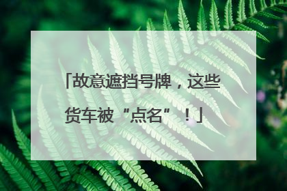 故意遮挡号牌，这些货车被“点名”！