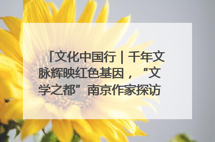 文化中国行｜千年文脉辉映红色基因，“文学之都”南京作家探访中国龙虾之都盱眙