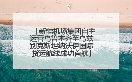 新疆机场集团自主运营乌鲁木齐至乌兹别克斯坦纳沃伊国际货运航线成功首航