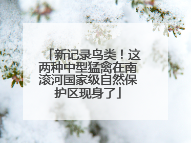 新记录鸟类！这两种中型猛禽在南滚河国家级自然保护区现身了