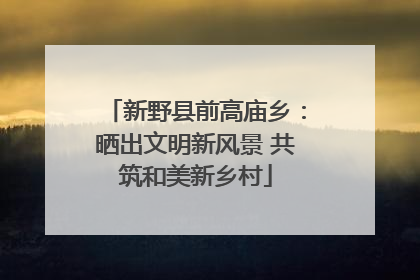 新野县前高庙乡：晒出文明新风景 共筑和美新乡村