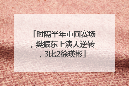 时隔半年重回赛场，樊振东上演大逆转，3比2徐瑛彬