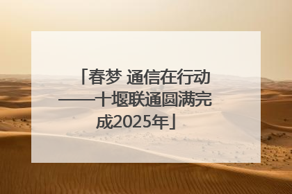 春梦 通信在行动——十堰联通圆满完成2025年
