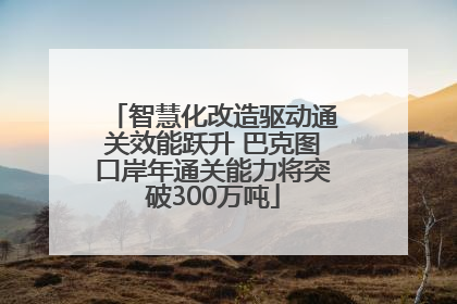 智慧化改造驱动通关效能跃升 巴克图口岸年通关能力将突破300万吨