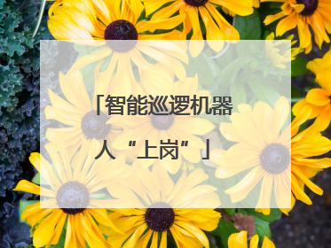 智能巡逻机器人“上岗”