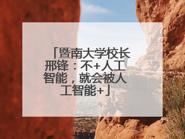暨南大学校长邢锋：不+人工智能，就会被人工智能+
