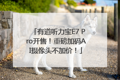 有道听力宝E7 Pro开售！重磅加码AI摄像头不加价！