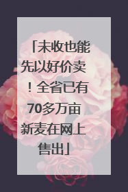未收也能先以好价卖！全省已有70多万亩新麦在网上售出