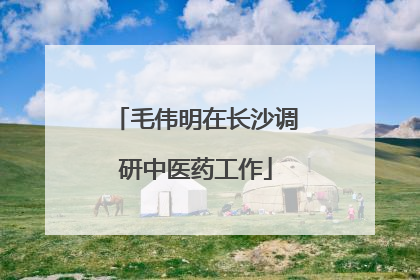 毛伟明在长沙调研中医药工作