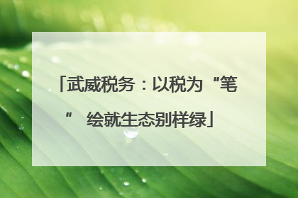 武威税务：以税为“笔” 绘就生态别样绿