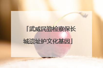 武威民勤检察保长城遗址护文化基因