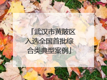 武汉市黄陂区入选全国首批综合类典型案例