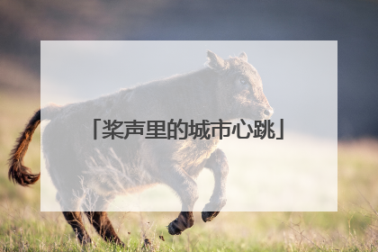 桨声里的城市心跳
