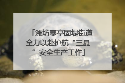 潍坊寒亭固堤街道全力以赴护航“三夏”安全生产工作