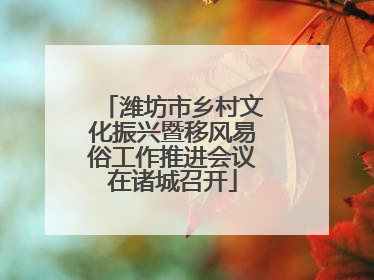潍坊市乡村文化振兴暨移风易俗工作推进会议在诸城召开