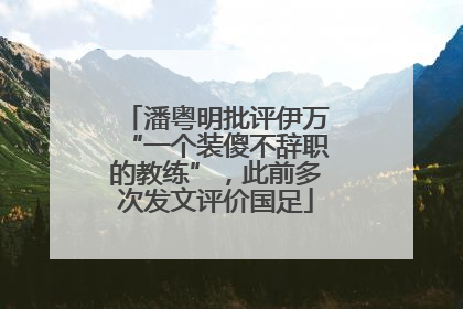 潘粤明批评伊万“一个装傻不辞职的教练”，此前多次发文评价国足