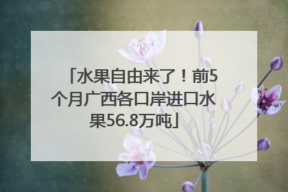 水果自由来了！前5个月广西各口岸进口水果56.8万吨