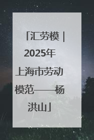 汇劳模｜2025年上海市劳动模范——杨洪山