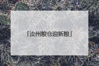 汝州粮仓迎新粮