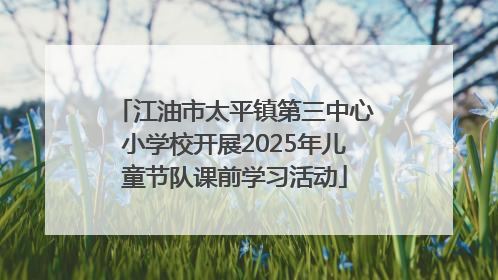 江油市太平镇第三中心小学校开展2025年儿童节队课前学习活动