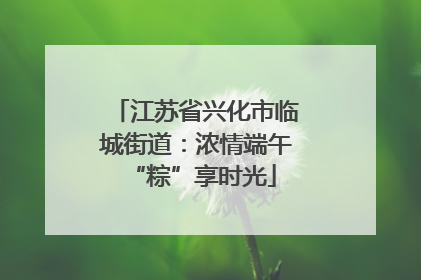 江苏省兴化市临城街道：浓情端午 “粽”享时光