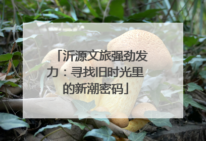 沂源文旅强劲发力：寻找旧时光里的新潮密码