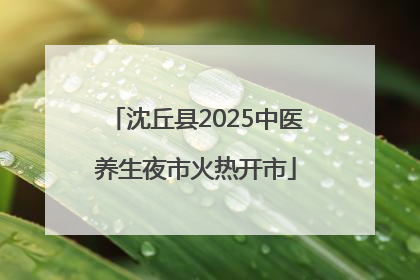 沈丘县2025中医养生夜市火热开市