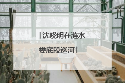 沈晓明在涟水娄底段巡河