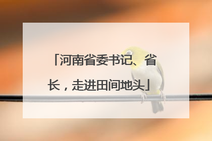 河南省委书记、省长，走进田间地头